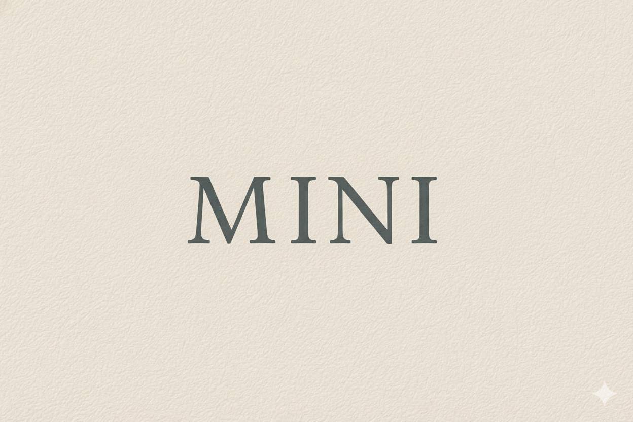MINI